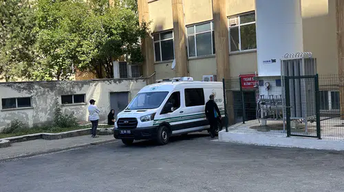 Kene ısırması sonucu yaşamını yitirdi
