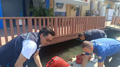 İzmir'de kaçak midye avına operasyon: 560 kilo midye denize döndü