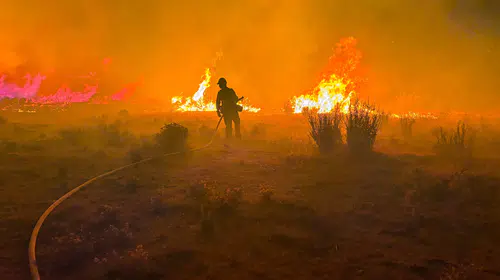 Nevada'da yangın sürüyor: 42 bin kişi tahliye edildi, vali olağanüstü hal ilan etti