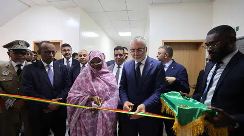 Işıkhan, Moritanya'da iş sağlığı iş birliğini ele aldı