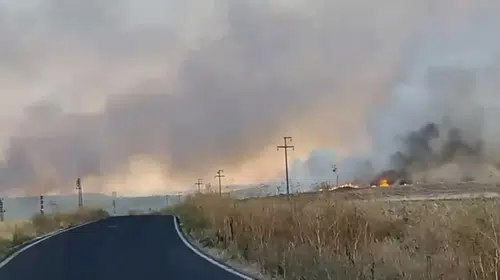 Polatlı ilçesinde kuru otları ateşe veren şahıs gözaltına alındı