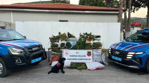 Bafra'da dev uyuşturucu operasyonu: 1 ton 38 kilo esrar ele geçirildi