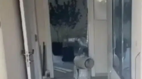 Bodrum'da uyuşturucu operasyonu: Evinde kenevir yetiştirmiş