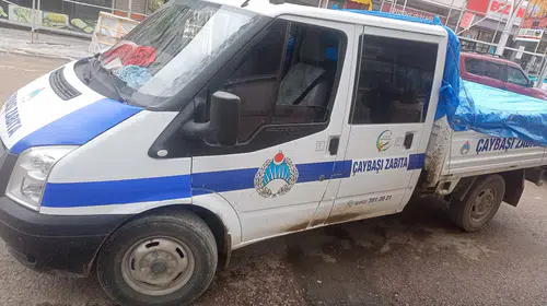 Taz Yaylası’nda sokak hayvanı operasyonu: 3 kişi serbest bırakıldı