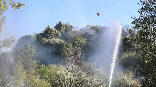 Antalya'da rüzgarın savurduğu alevler yerleşimi vurdu: 1 ev küle döndü