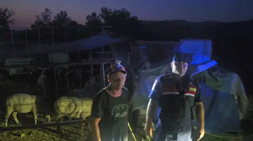 İnegöl'de kaybolan 50 koyun, jandarmanın dronuyla 4 kilometre ötede bulundu
