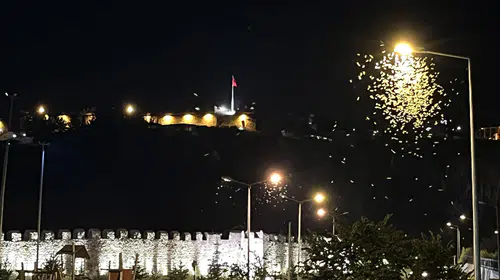 Ardahan'da geceye damga vuran görsel şölen: Beyaz kelebekler ışıklarla dans edip ölüyor