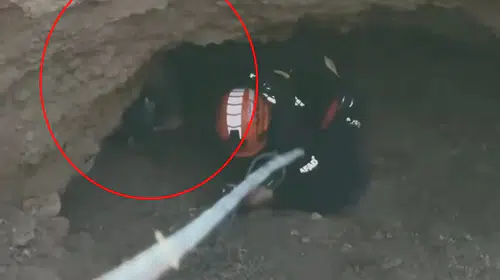 Siirt'te obrukta mahsur kalan keçi AFAD'ın operasyonuyla kurtarıldı