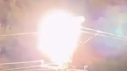 Mersin'de elektrik direğine konan leylekler akıma kapıldı: 3'ü öldü