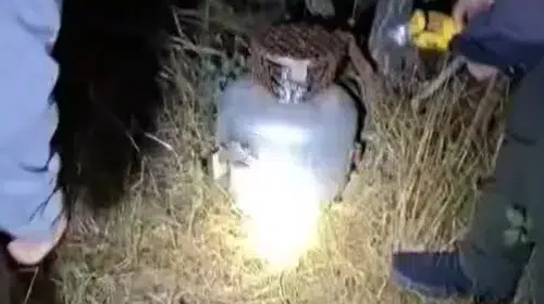 Kaçak avcıların mutfak tüpüyle kurduğu düzenek şaşkına çevirdi