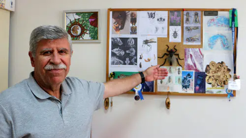 Bilim dünyasında duygusal veda: Profesör keşfettiği türe kaybettiği oğlunun ismini verdi