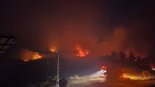Adana'da orman yangını paniği: Yerleşim yerleri tahliye edildi