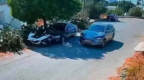 Bodrum'da vicdansız sürücüye soruşturma: İki köpeği ezip kaçtı