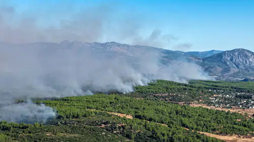 Antalya'da orman yangını kabusu: Binlerce hane karanlıkta kaldı