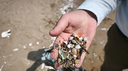 Akdeniz'de alarm zilleri çalıyor: Mikroplastik istilası turizmi ve sağlığı tehdit ediyor