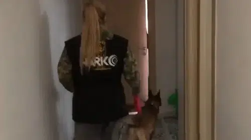 Başkentte zehir tacirlerine ve fuhuş çetelerine ağır darbe: 64 şüpheli mercek altında