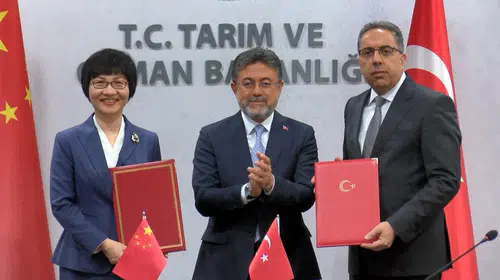 Türkiye'den Çin'e defne ihracatı için yeşil ışık: 60 milyon dolarlık yeni kapı