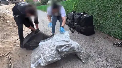 İstanbul'da narkotik darbesi: Tonlarca uyuşturucu sevkiyatına geçit verilmedi