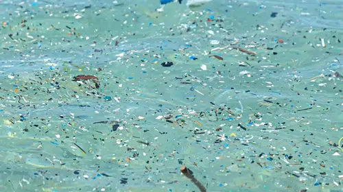 Plastik krizinde tehlike çanları: 2060 projeksiyonu korkutuyor
