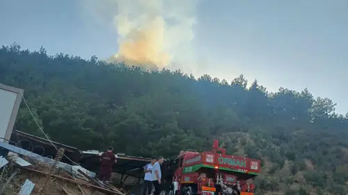Hassa'da ormanlık alanda korkutan yangın