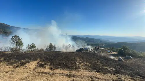 Bursa'da korkutan orman yangını: Alevler tarım arazisinden sıçradı