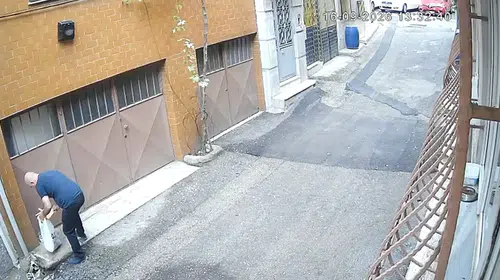 Bursa'da vicdansızlık kamerada: Sokak hayvanlarının mama kaplarını çöpe attılar