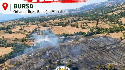 Bursa'da orman yangını paniği: Ekiplerin yoğun çabası sonuç verdi
