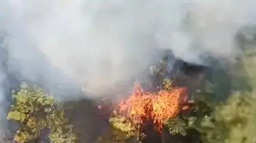 Bursa'da anız ateşi ormana sıçradı: Ekipler havadan ve karadan seferber oldu