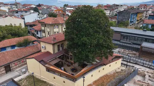 Sanat Güneşi'nin ilham kaynağına 300 yıllık vefa: Bir ağacın gölgesinde saklı kalan hatıralar