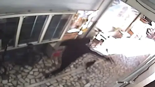 Küçükçekmece'de silahlı baskın: Polis yaka kamerası şüphelinin yakalanma anını kaydetti