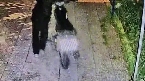 Reyhanlı'da gece yarısı operasyonu: Avluya giren maskeli hırsızlar kamerada