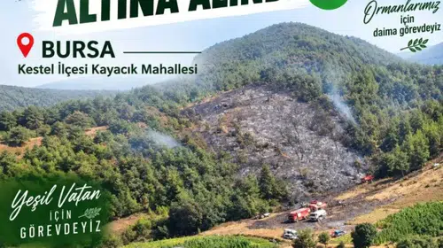 Bursa'da anız ateşi ormana sıçradı: Ekiplerin hızlı müdahalesi faciayı önledi