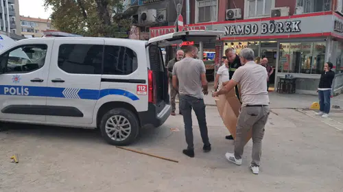 Gölcük'te kedi kurtarma operasyonu: İki araç değiştirdi, ekipleri peşinden koşturdu