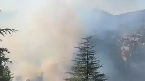 Feke'de orman yangını alarmı: İki ayrı noktada alevlerle mücadele