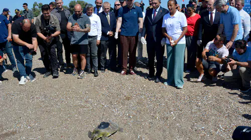 Akdeniz'in yeni gözlemcisi Hanzala: Uydu takibiyle doğaya bırakıldı