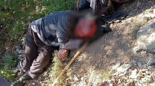 Kastamonu'da ormanlık alanda kaza: 30 metrelik uçurumdan düştü