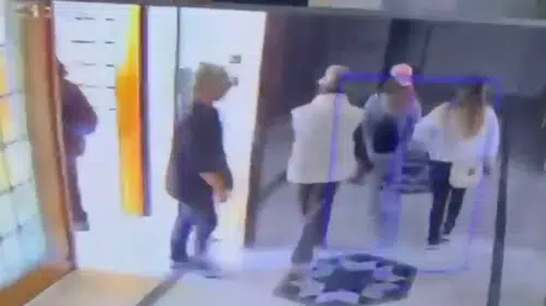 12. kattaki hırsızlık girişimini 'Mucize' engelledi: Şüpheliler kediye yenildi