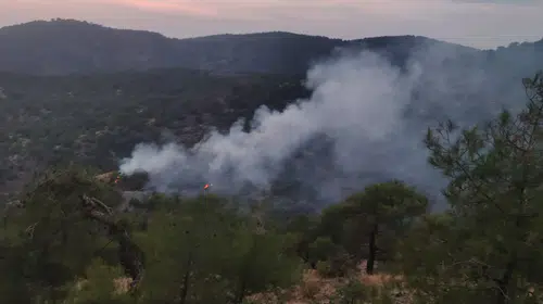 İslahiye'de ormanlık alanda korkutan yangın