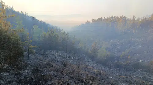 Kumluca'da alevlerle mücadele: Gece boyu süren çaba sonuç verdi