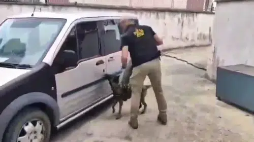 Balıkesir merkezli narkotik baskınında 3 kişi cezaevine gönderildi