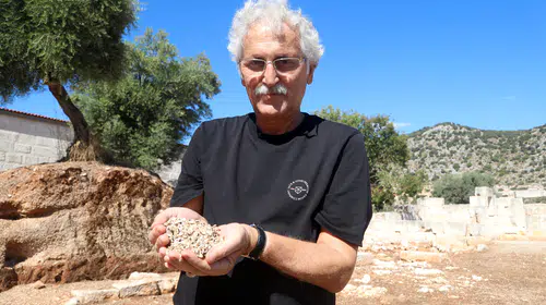 Antik dünyanın yasaklı rengi: Myra'da servet değerindeki morun sırrı çözüldü