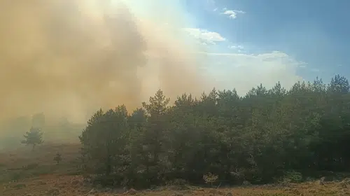 Bolu'da tarla yangını ormana sıçradı: Ekipler seferber oldu