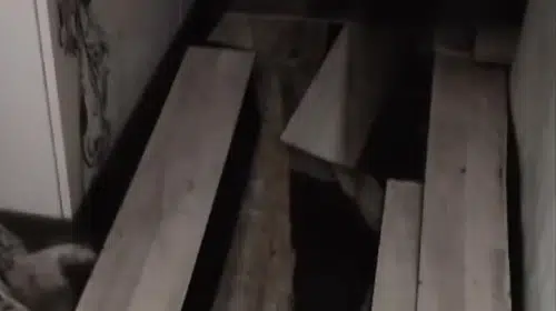 Sultangazi'de sağanak kabusu: Evini su basan kadın gözyaşlarına boğuldu