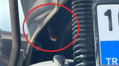 İnegöl'de motosiklet sürücüsünü şoke eden misafir