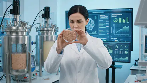 Tavuk etine rakip, daha ucuz fiyatta vegan besin geliyor