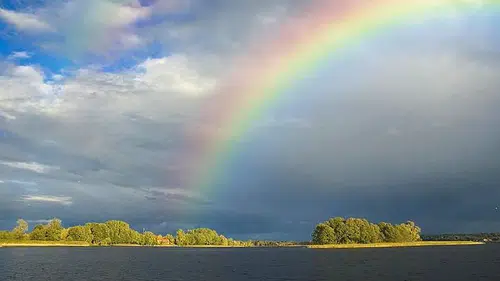 Zeki insanlar bu renkleri tercih ediyor: Psikolojiye göre mesajı çok güçlü