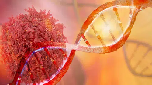 Evde, işte, sokakta… Bu 10 gizli kimyasal kanser tehlikesi saçıyor