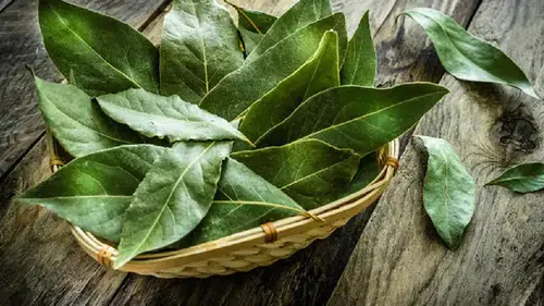 Kışın evde nem ve küfe doğal çözüm: Defne ve tuz yöntemiyle vedalaşın