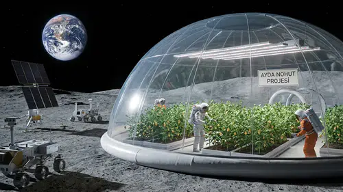 Ay toprağında tarım devrimi: Bilim insanları nohut yetiştirmeyi başardı