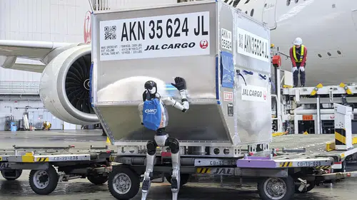 Japonya'da insansı robotlar havalimanında göreve başlıyor